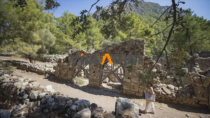 Olympos Antik Kenti: Ormanın İçinde Gizlenmiş Likya'nın Gizemli Şehri