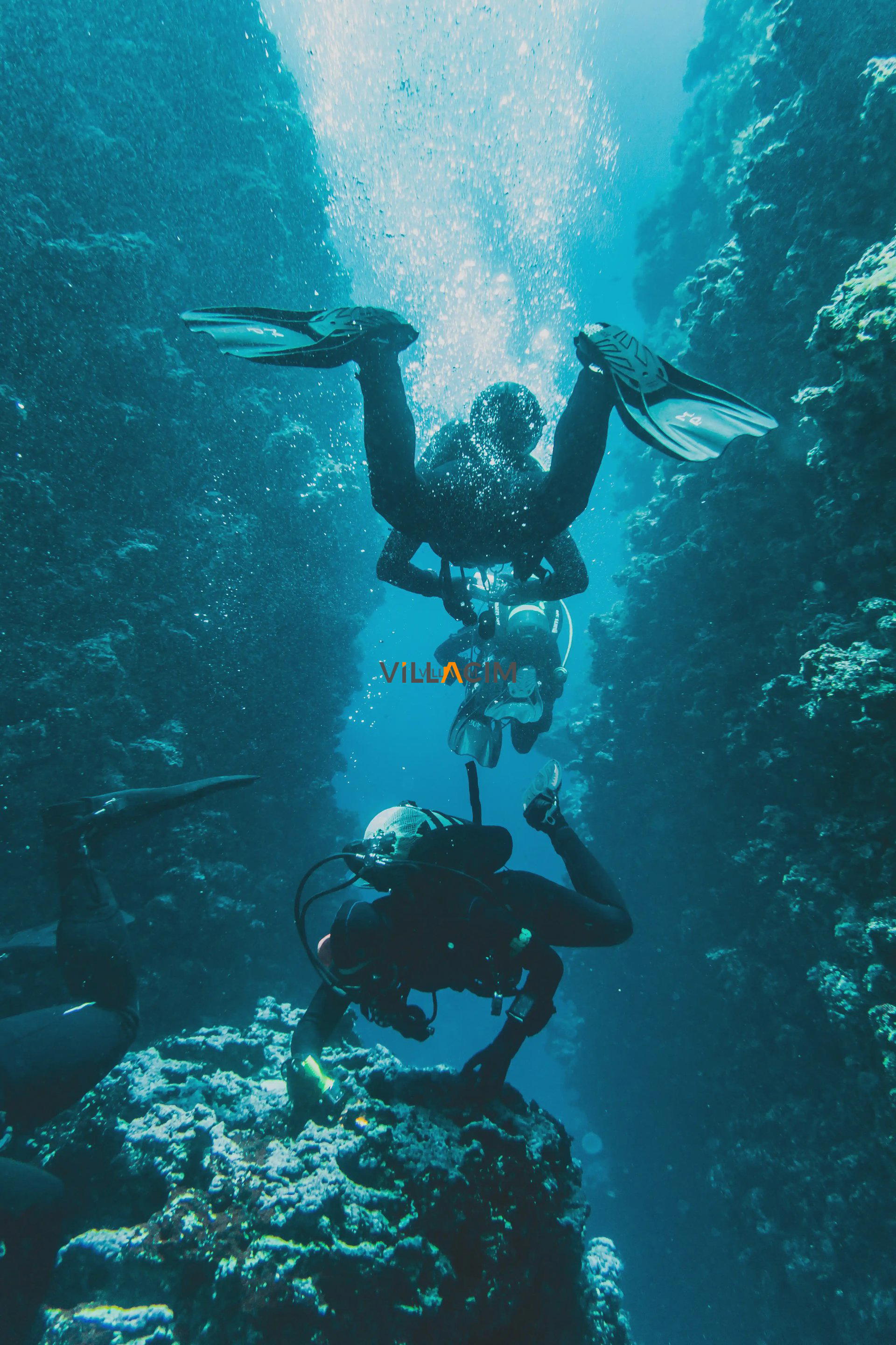 Bodrum'da Scuba Diving: Türkiye'nin En İyi Dalış Noktaları Rehberi