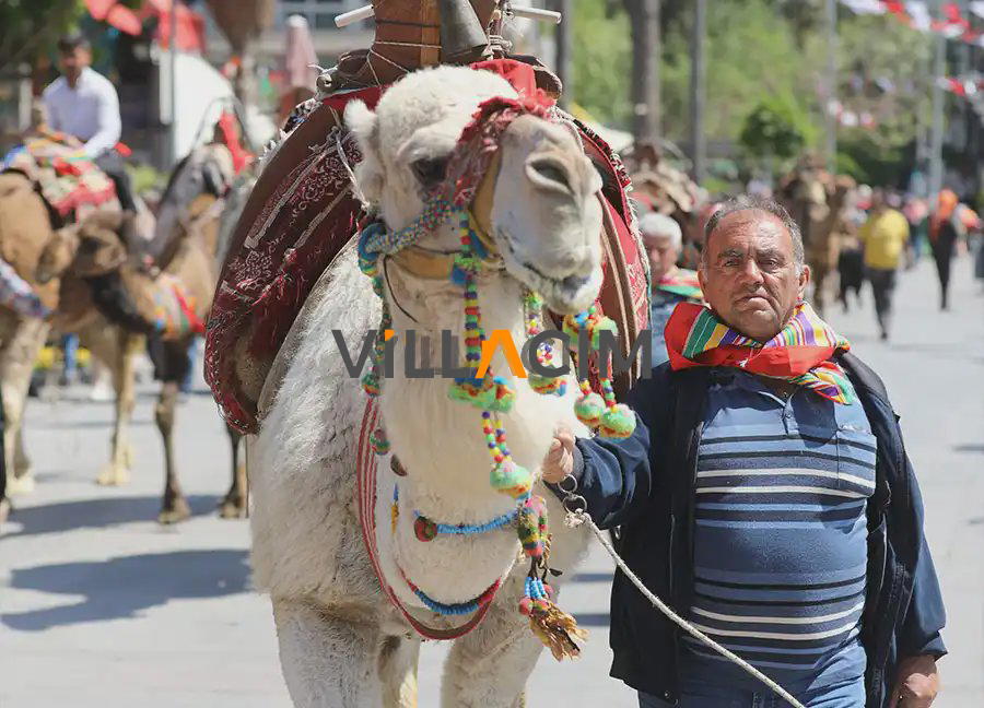 Antalya Yörük Türkmen Festivali