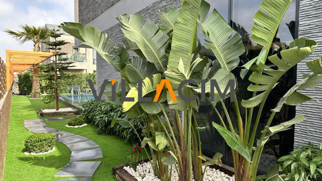 Villa Casa Diva