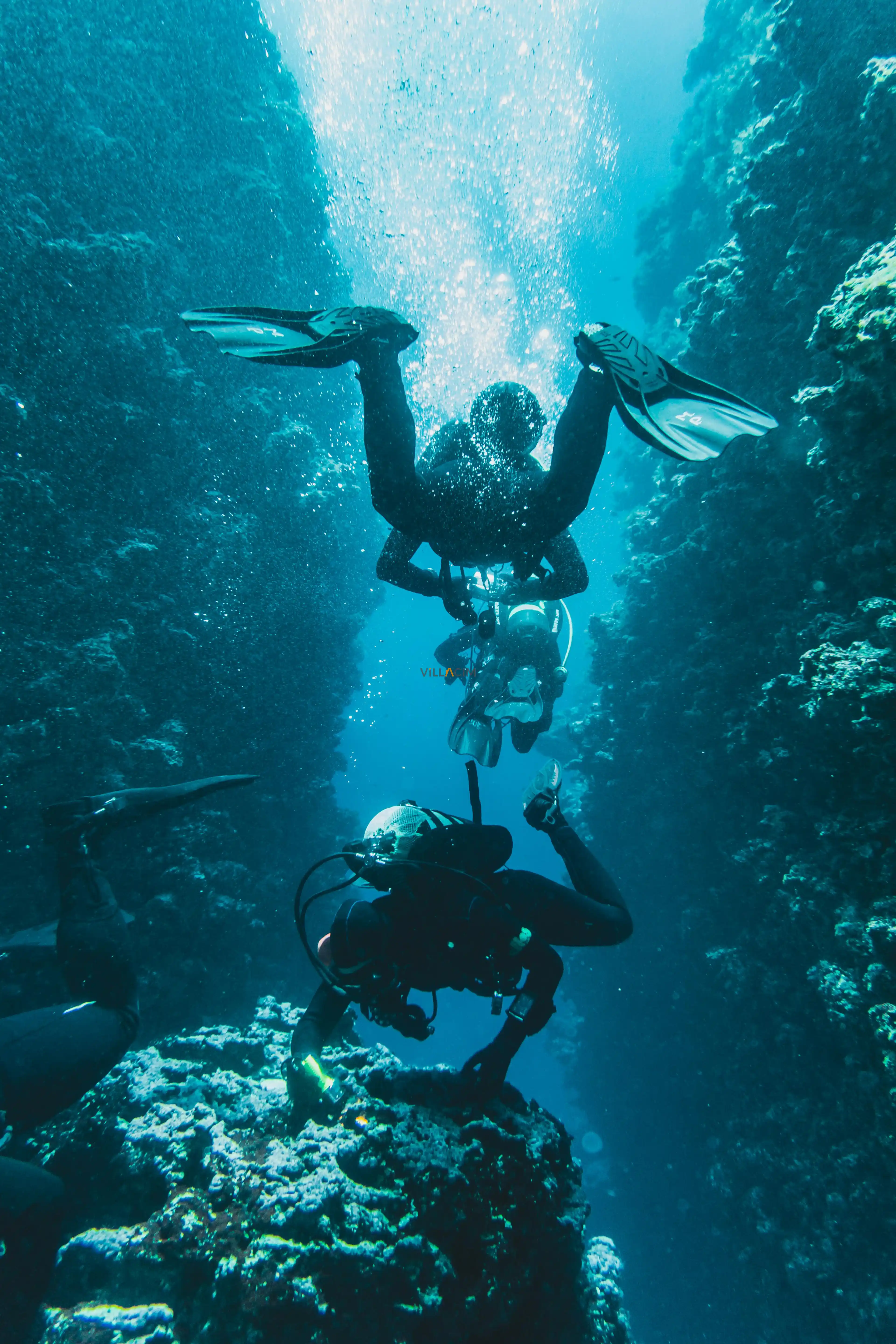 Bodrum'da Scuba Diving: Türkiye'nin En İyi Dalış Noktaları Rehberi