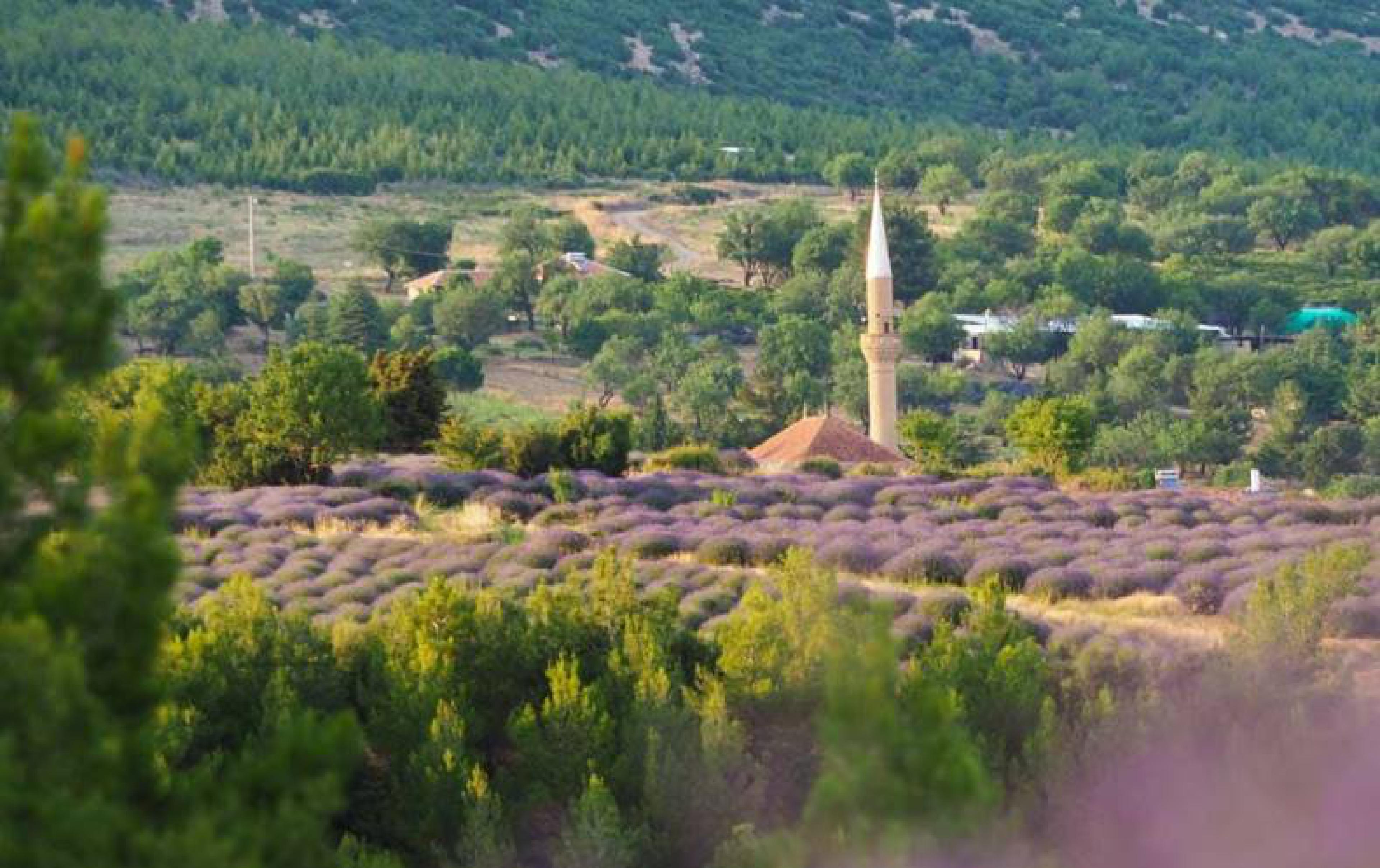 Lavanta Bahçeleri İçinde Kuyucak Köyünün Gizli Köşeleri