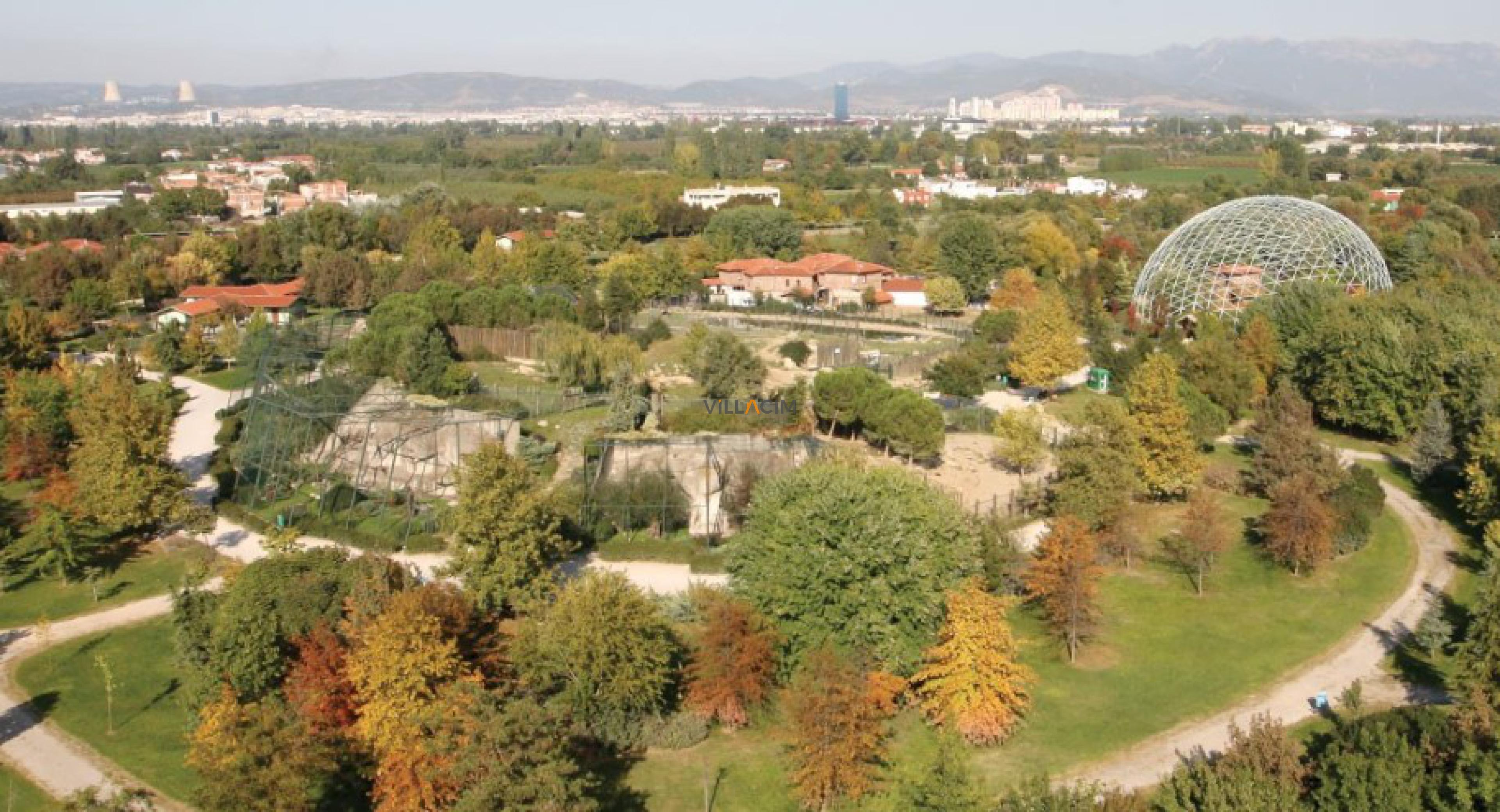 Bursa'nın Vahşi Yaşamı - Hayvanat Bahçesi ve Çevresinde Keşif