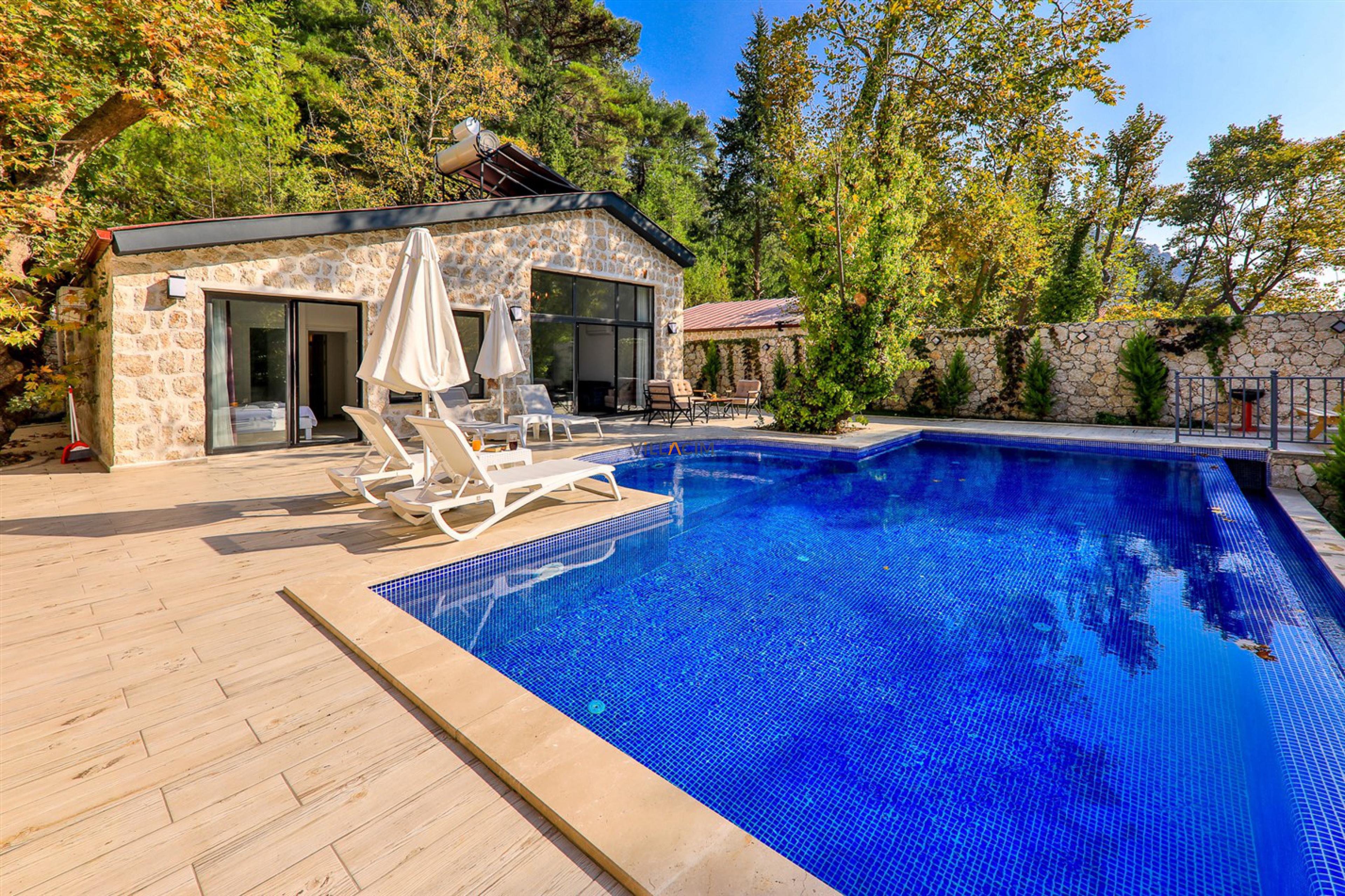 villa-dora-321_334.jpg