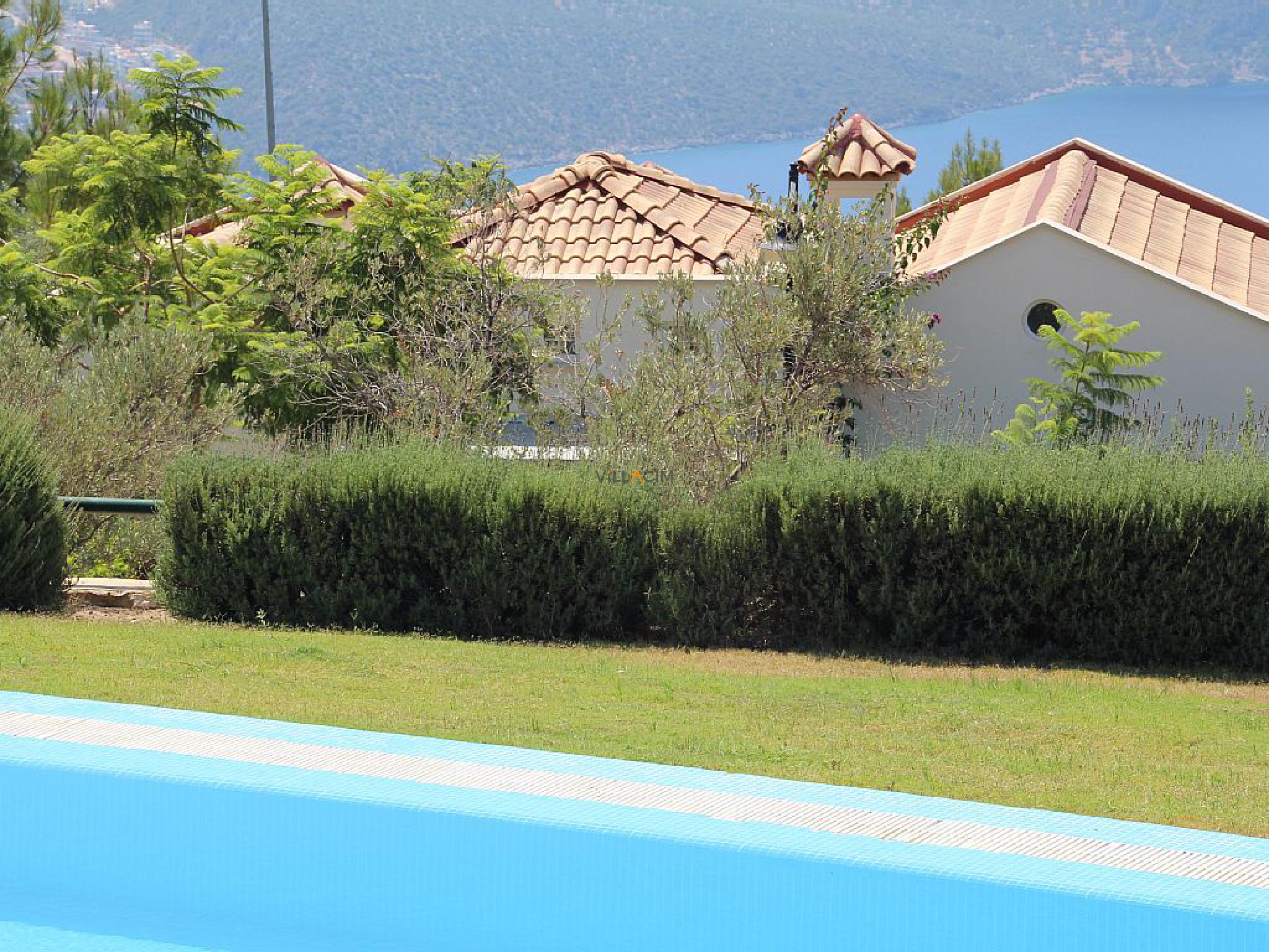 villa-patricia-11_789.jpeg